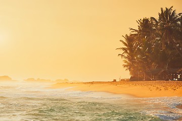 Image showing Beach at the sunset