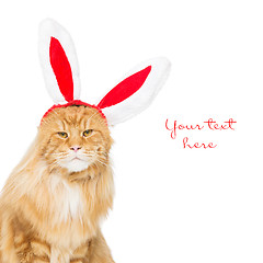 Image showing Big ginger cat in christmas rabbit ears head rim