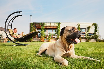 Image showing Man with dog on the garden