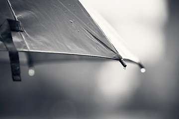 Image showing Umbrella during rain