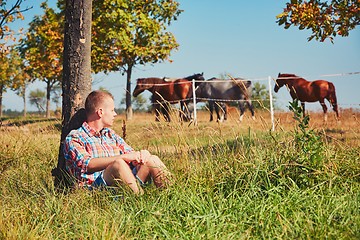 Image showing Summer time in nature