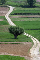 Image showing Winding road