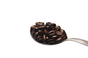 Image showing coffee beans on spoon