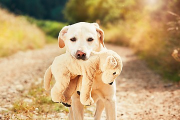 Image showing Dog with his dog