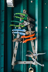 Image showing Colorful pliers hanging on rack