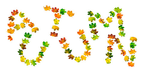 Image showing Word AUTUMN composed of autumn maple leafs