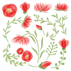 Image showing Watercolor vector floral set