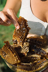 Image showing Honeycomb in hand