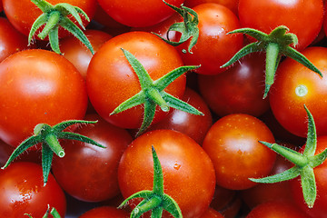 Image showing Group of fresh tomatoes