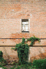 Image showing Brickwall with old window and growing plant