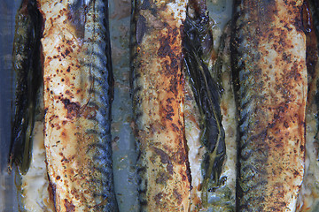 Image showing mackerel fish background