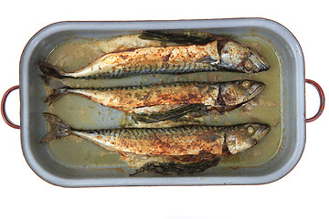 Image showing baked mackerel fish 