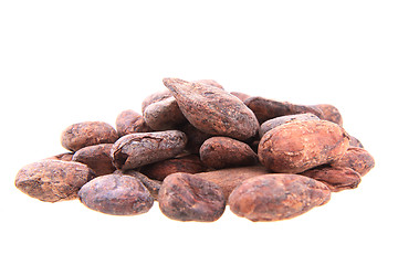 Image showing cocoa beans isolated