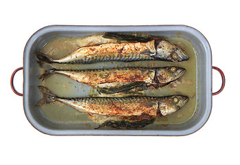 Image showing baked mackerel fish 