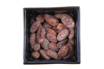 Image showing cocoa beans isolated