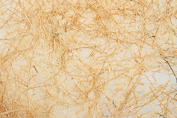 Image showing natural straw texture