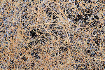 Image showing natural straw texture