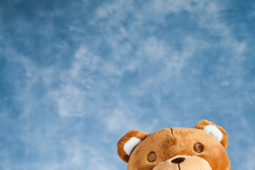 Image showing Lovely Teddy Bear