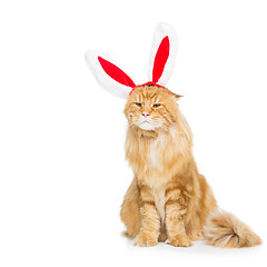 Image showing Big ginger cat in christmas rabbit ears head rim