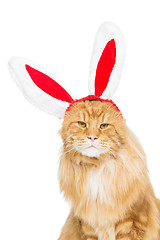 Image showing Big ginger cat in christmas rabbit ears head rim