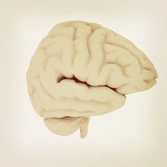 Image showing Human brain. 3D illustration. Vintage style.