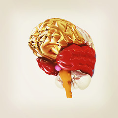 Image showing Colorfull human brain. 3D illustration. Vintage style.