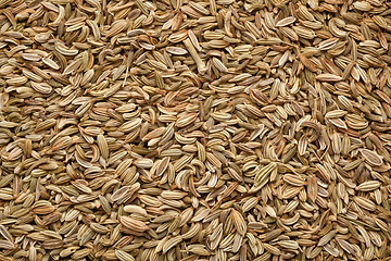 Image showing Fennel seeds