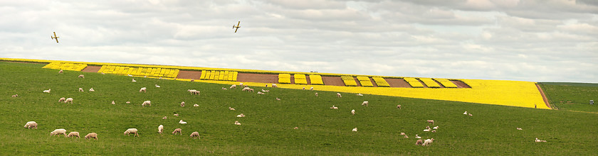 Image showing Creative Canola Farming Central West NSW