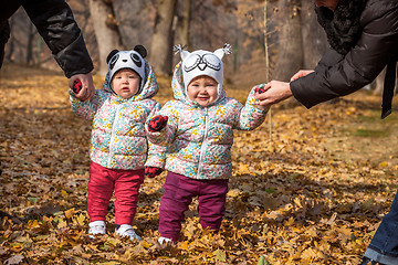 Image showing The two little baby girls standing in autumn leaves