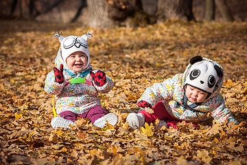 Image showing The two little baby girls sitting in autumn leaves