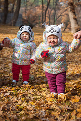 Image showing The two little baby girls standing in autumn leaves