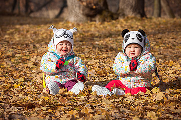 Image showing The two little baby girls sitting in autumn leaves