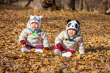 Image showing The two little baby girls sitting in autumn leaves