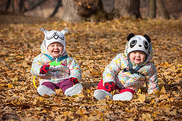Image showing The two little baby girls sitting in autumn leaves