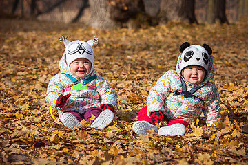 Image showing The two little baby girls sitting in autumn leaves