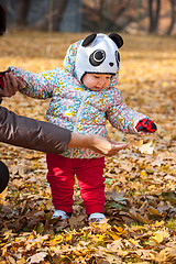 Image showing The little baby girl standing in autumn leaves