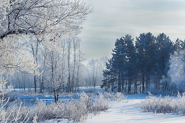 Image showing winter landscape of snow-covered fields, trees 