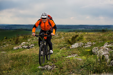 Image showing Young man cycling on a rural road through green meadow