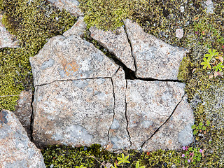 Image showing Frost leaves Destructive Patterns in a Stone