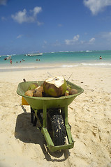 Image showing Coconut drink in wheelbarrow on beach