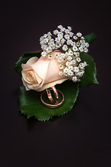 Image showing Boutonniere closeup on a dark background