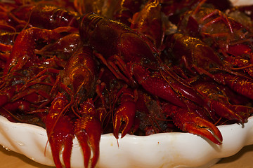 Image showing crayfish