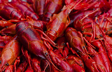 Image showing crayfish