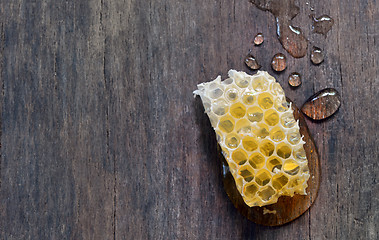 Image showing sweet honeycombs with honey isolated