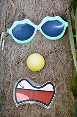 Image showing Funny photo of a tree and sunglass