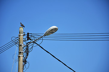 Image showing Lamp post with many cables