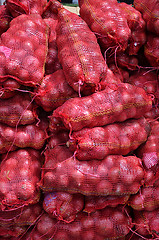 Image showing Sacs containing Large onion stacked for sale