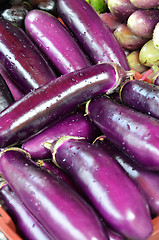 Image showing Raw ripe Eggplant