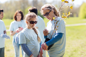 Image showing volunteers family with tree seedling in park