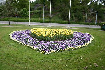 Image showing Flower heart